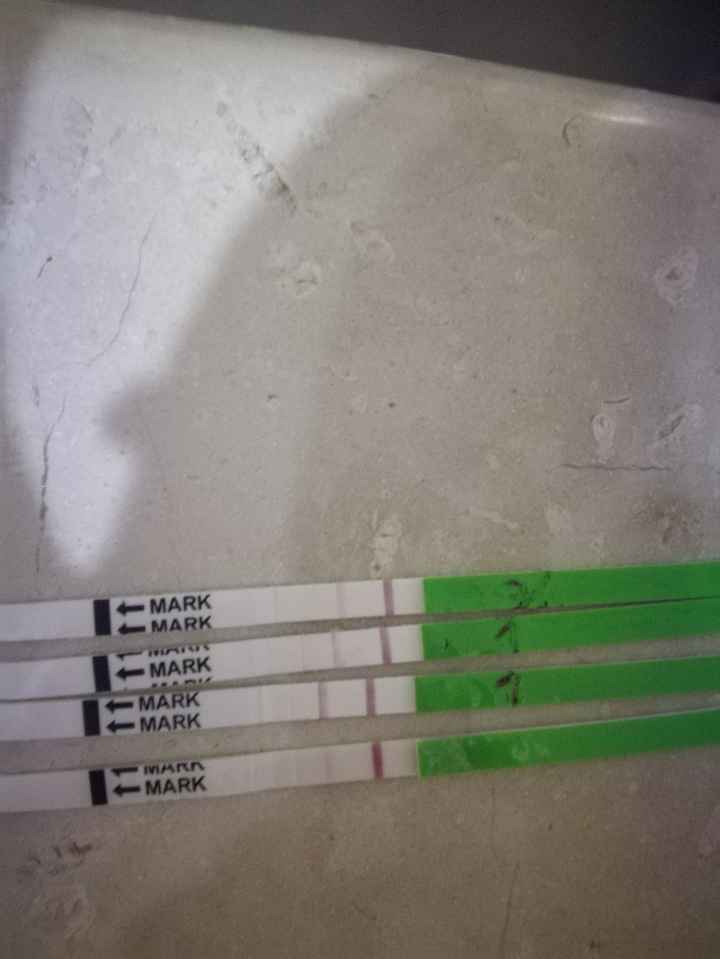Ovulazione e test canadesi! 1