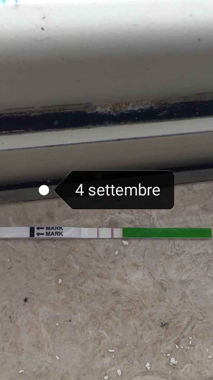 Chi non le aspetta per settembre 🍀🤞 - 3