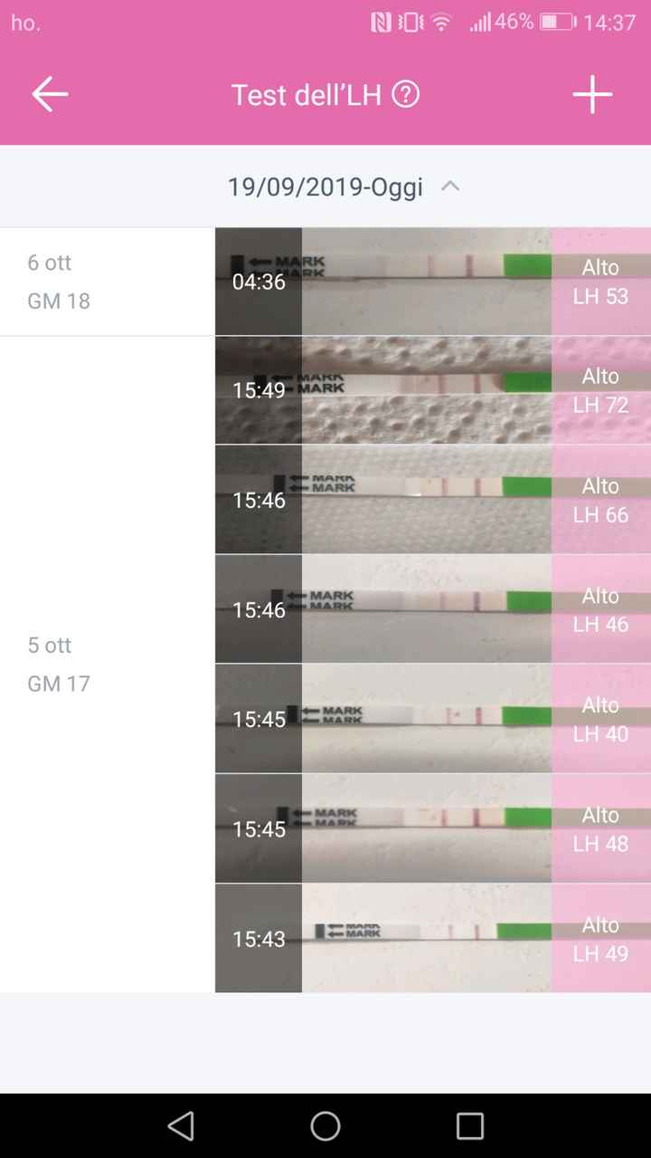 Stik ovulazione positivo? - 1