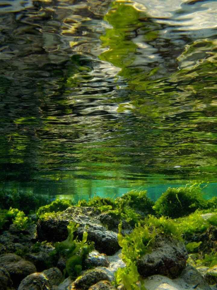 Già scelto la meta ? - 1