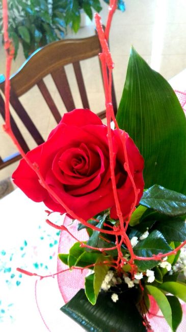 La nostra prima settimana - 1