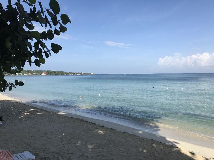 Santo Domingo o Jamaica? - 3