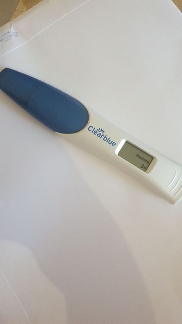 Come siete riuscite a smettere di pensare alla Cicogna? 😣 - 1