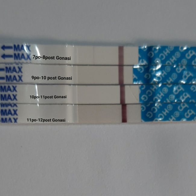 Smaltimento Gonasi 5