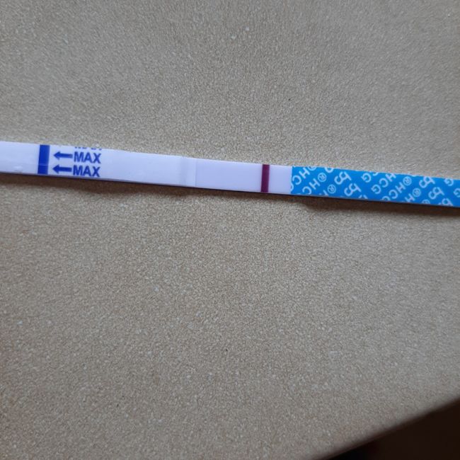 Smaltimento Gonasi 2