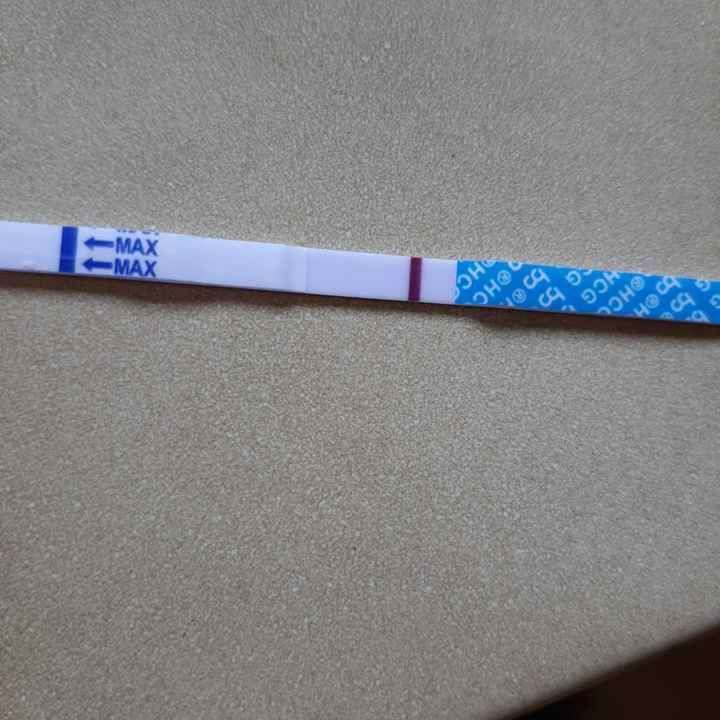 Smaltimento Gonasi - 1