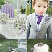 Con il tema ulivo quale colore ci starebbe bene?? - 1