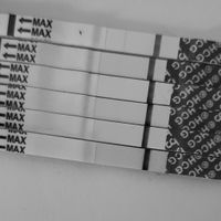 Smaltimento Gonasi - 1