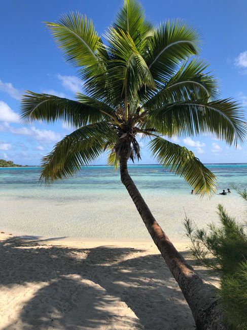 Consigli Polinesia - 1