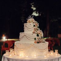 Torte! - 1