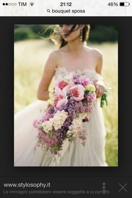 Il club della sposa glicine - 2