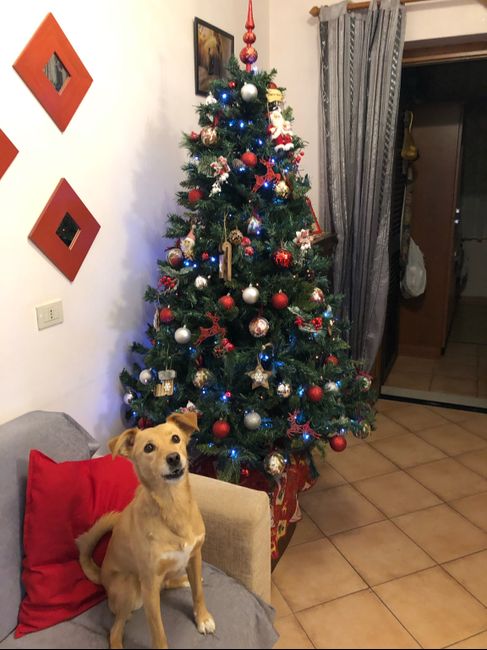 Natale alle porte 🎄✨ 1