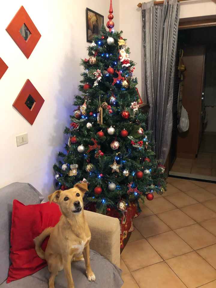 Natale alle porte 🎄✨ - 1