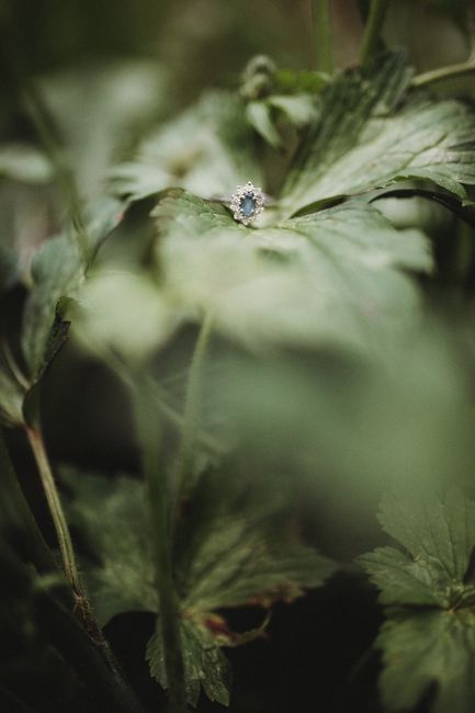 Il mio prematrimoniale - 3