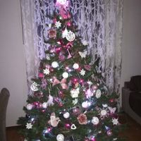 Avete mai fatto l'albero insieme? - 1