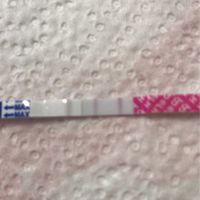 Test ovulazione canadese come test di gravidanza - 1