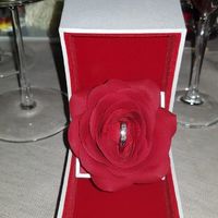 E ora mostraci una foto del tuo anello di fidanzamento! - 1