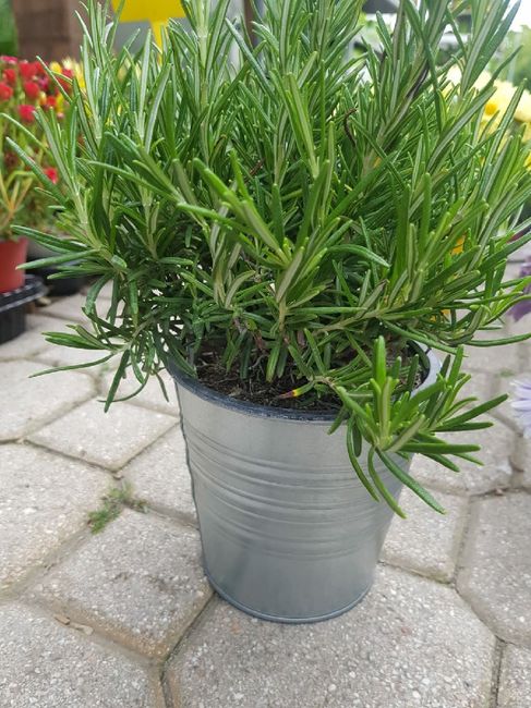 Mancano 8 mesi 😱 - 2