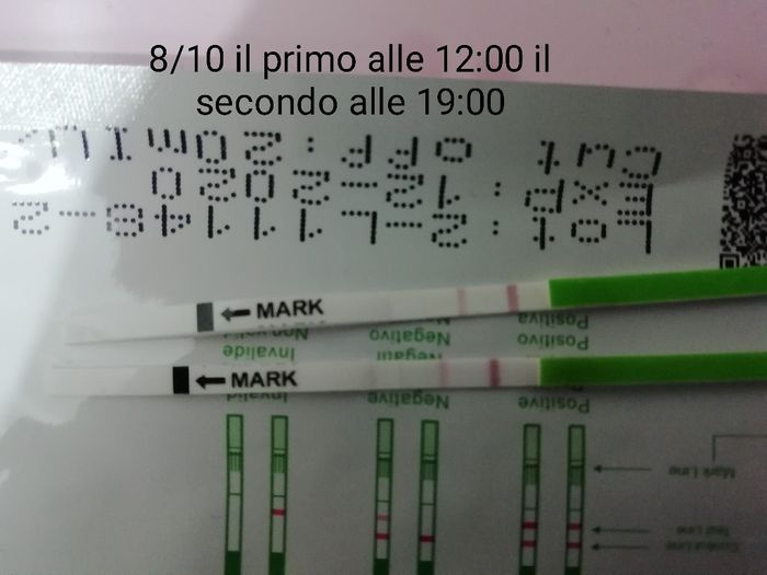 Stick canadesi. Si comincia a vedere la linea! - 2