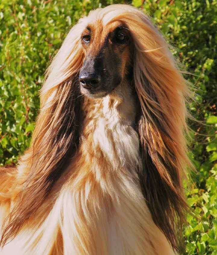 Cosa ne pensate? - 1