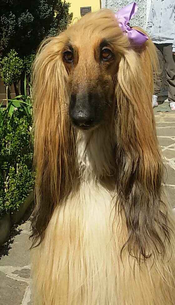 La mia "porta fedi" - 1