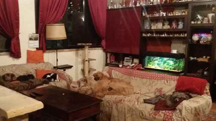 Animaletti in casa - 7