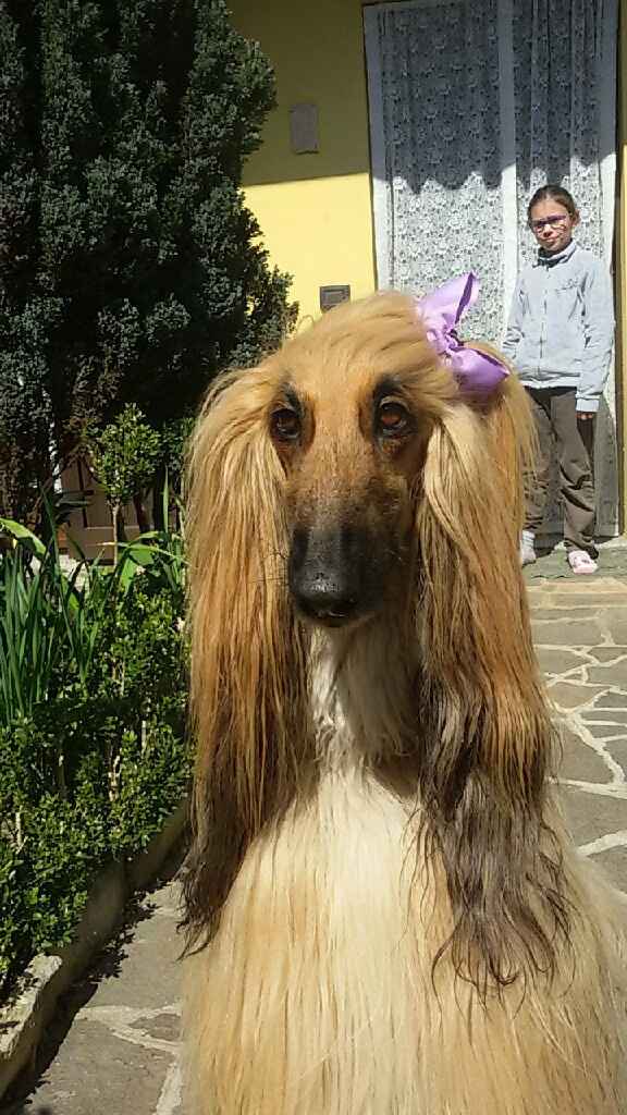 Animaletti in casa - 9