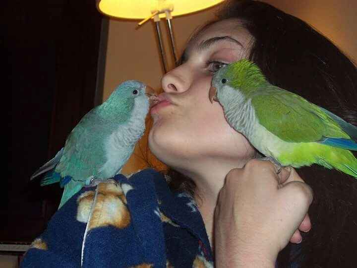 Animaletti in casa - 14