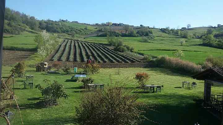 Quel giorno aprendo gli occhi... - 1