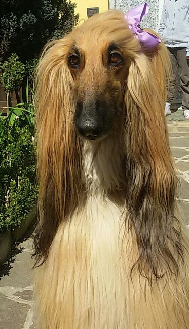 La mia "porta fedi" - 1