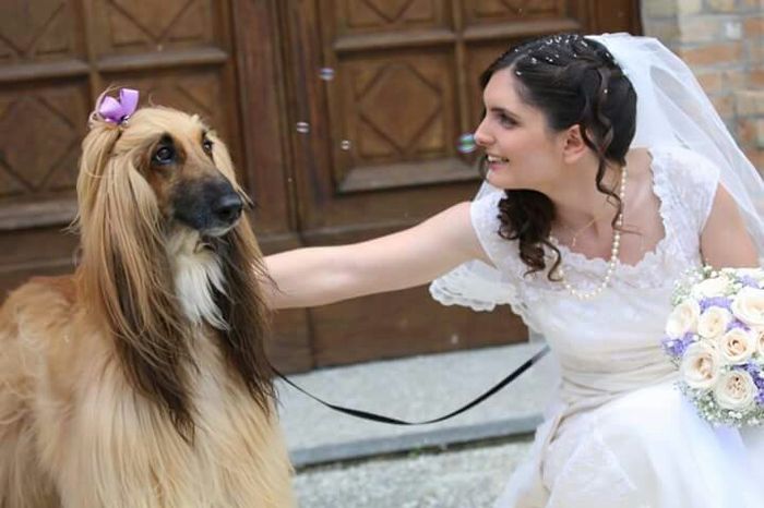 Ecco qualche altra foto del nostro giorno! - 7