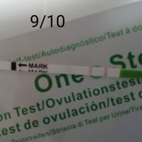 Stick canadesi. Si comincia a vedere la linea! - 1