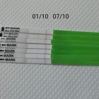 Stick canadesi. Si comincia a vedere la linea! - 1