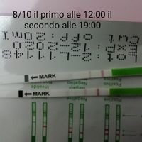 Stick canadesi. Si comincia a vedere la linea! - 2