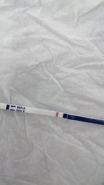 Temperatura basale, inizio anche io! Consigli? 3