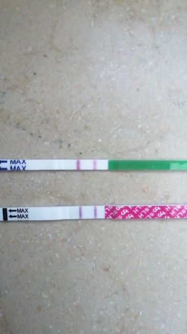 Temperatura basale, inizio anche io! Consigli? 1