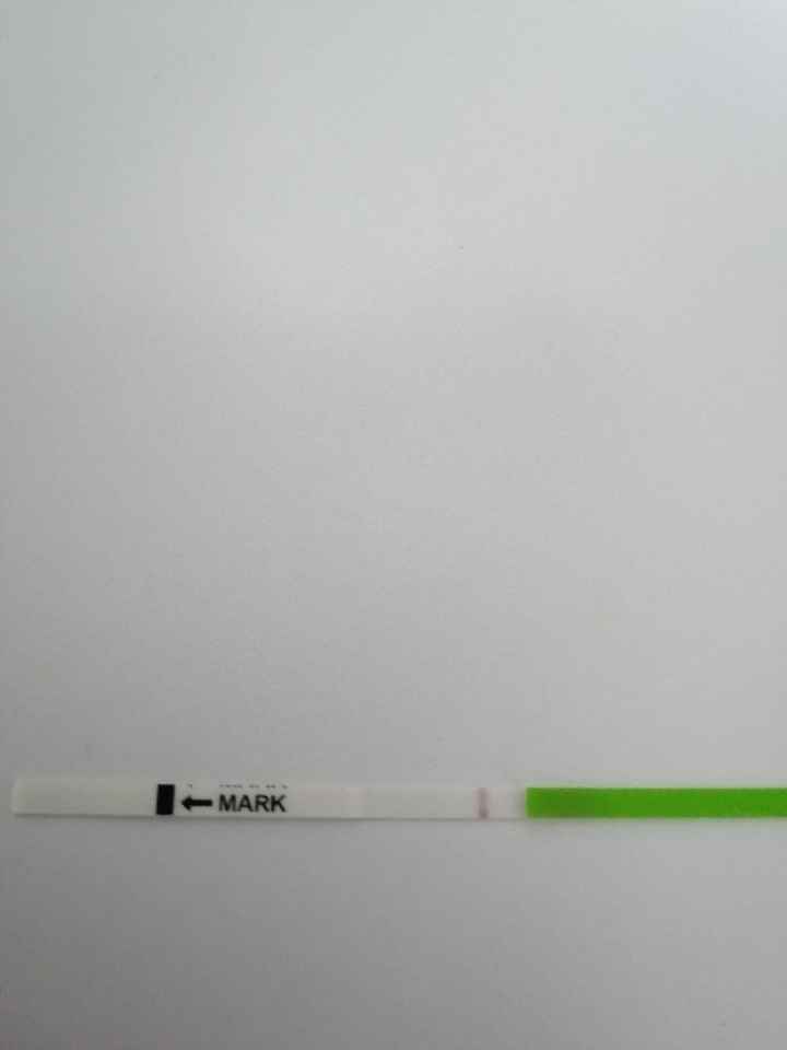 Stress da stick canadesi che non diventano mai positivi! - 1