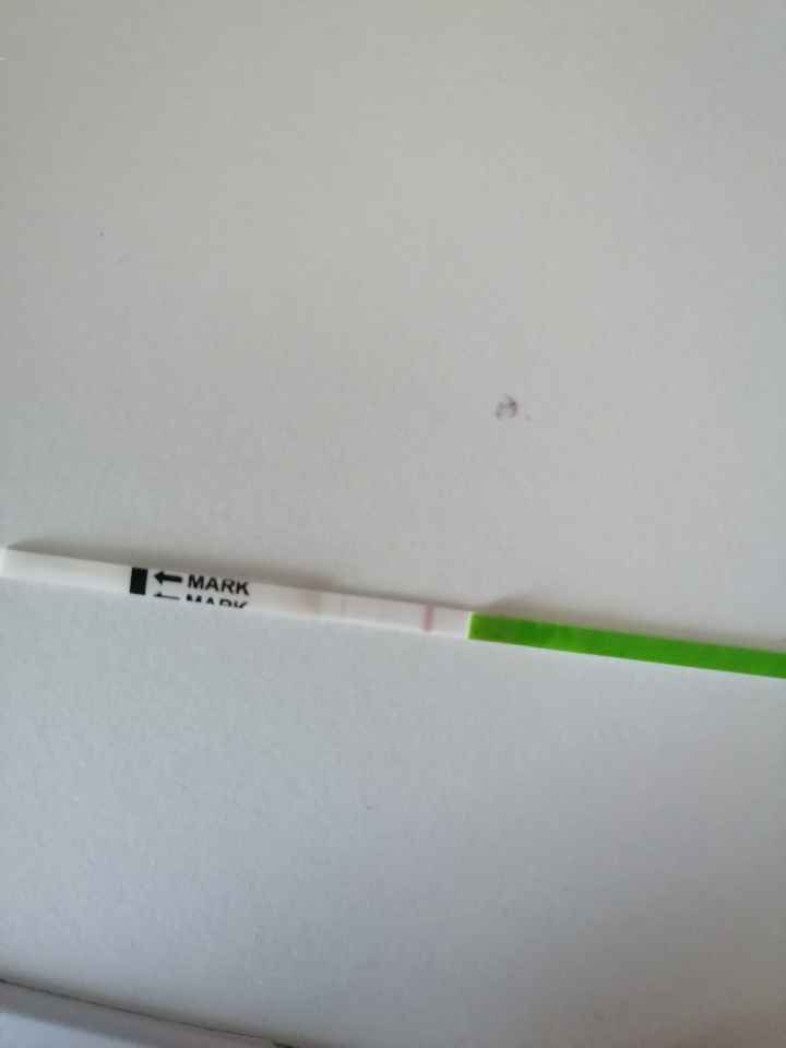 Stress da stick canadesi che non diventano mai positivi! - 1