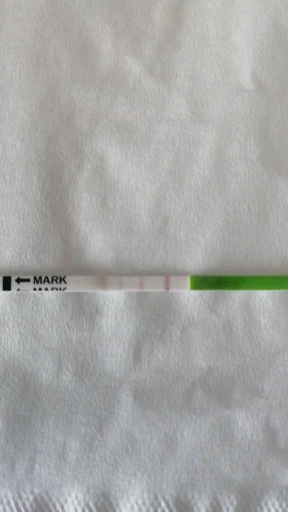 Stress da stick canadesi che non diventano mai positivi! - 1