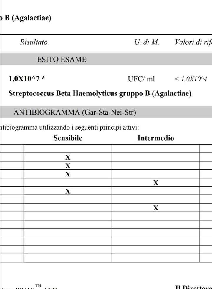 Chi non le aspetta per luglio 2020 🍀🐞🤞🌈🌻 - 1