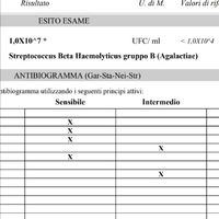 Chi non le aspetta per luglio 2020 🍀🐞🤞🌈🌻 - 1
