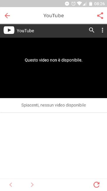 Ragazze vorrei condividere con voi un piccolo video del mio gatto 😍 - 1