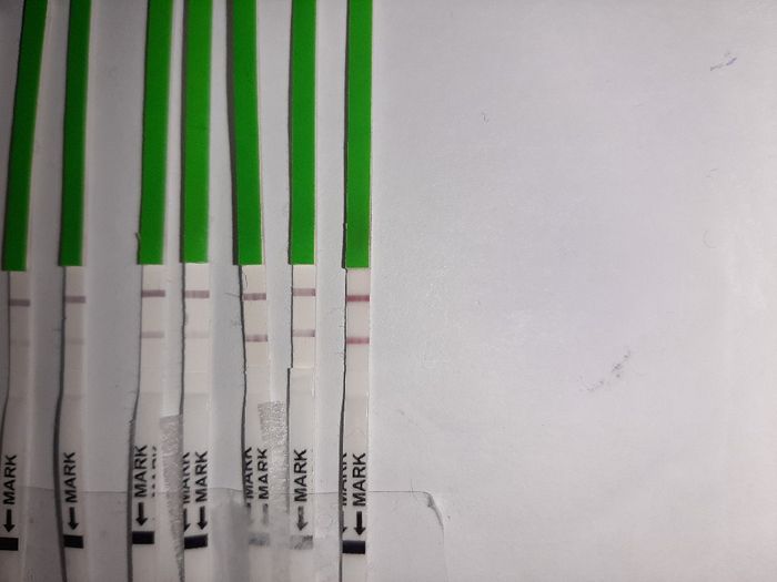 Chi non le aspetta per Aprile 2020 - 1