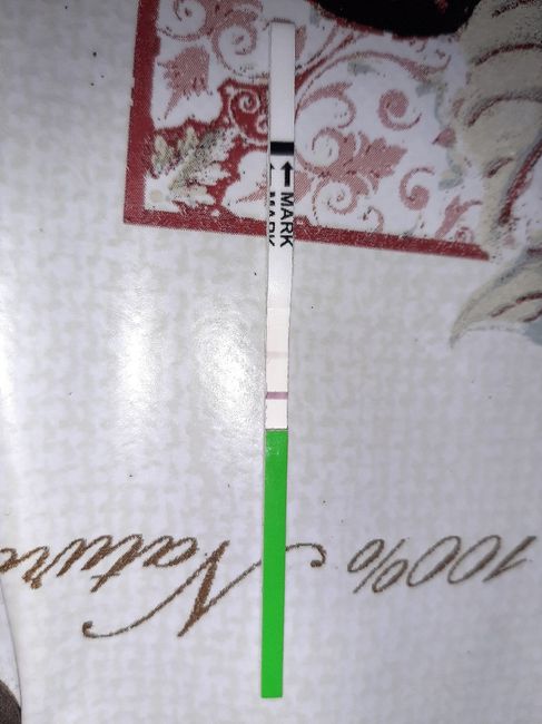 Chi non le aspetta per Aprile 2020 - 1