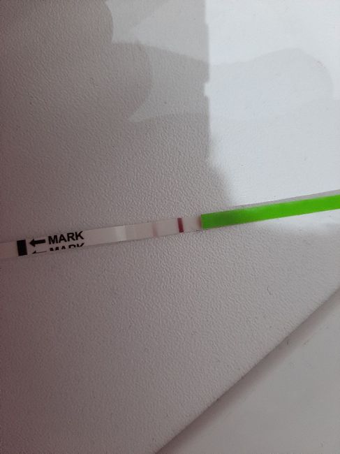 Chi non le aspetta per Maggio 2020 - 1