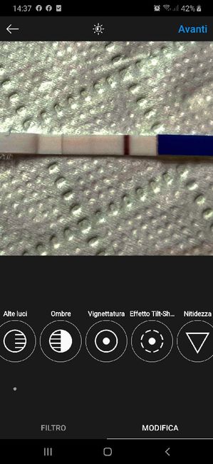 One step gravidanza 2