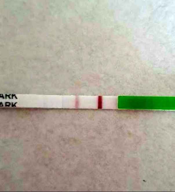 Test ovulazione come test precoci da gravidanza? - 2