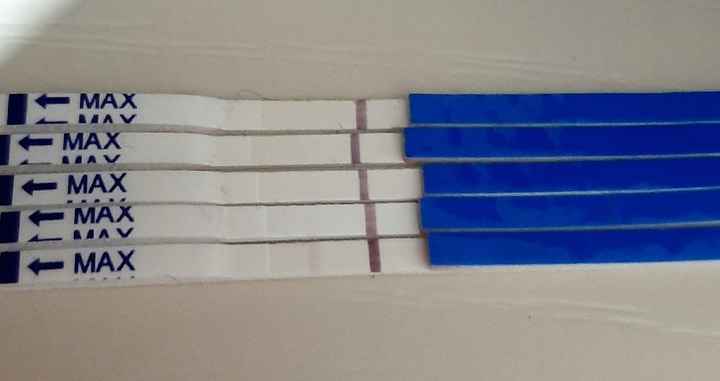 Future mamme Giugno 2021 💛🐠🍀🌻 - 1