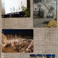 Decorazioni:  S o XL? - 2