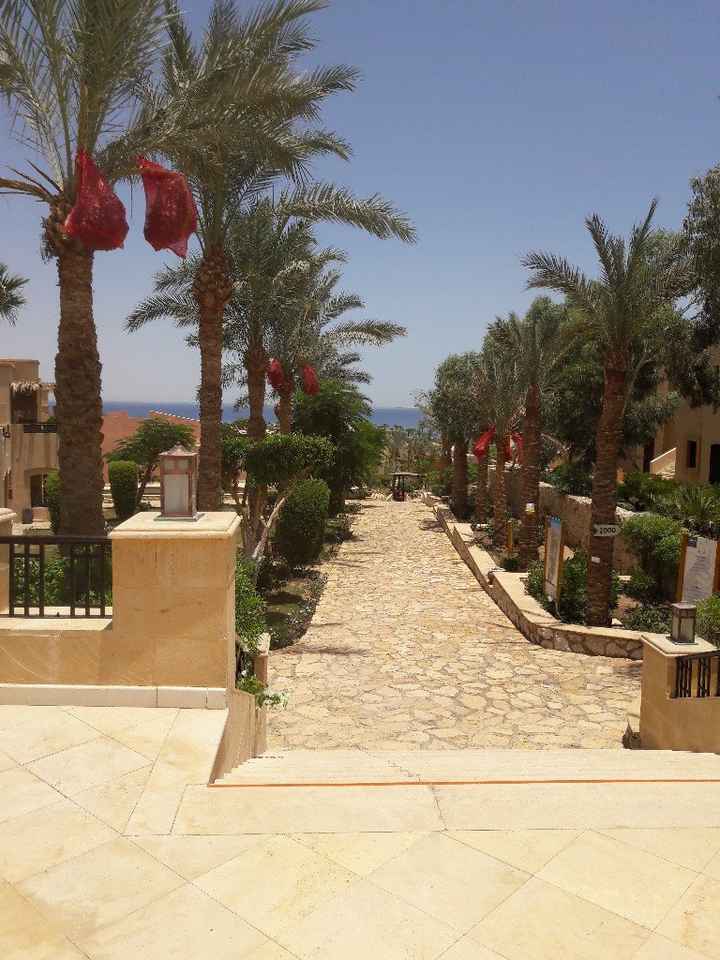 Viaggio di nozze Sharm El Sheik - 1